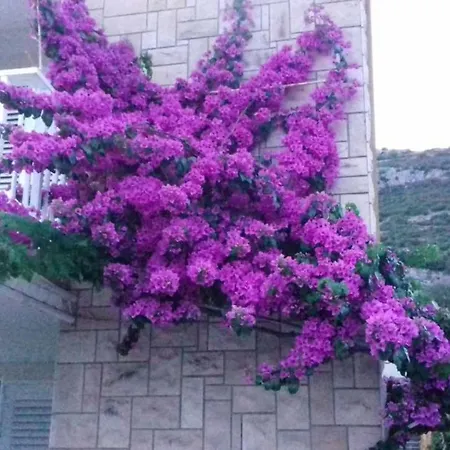 Apartmán Magdalena